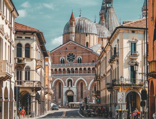 Prendersi cura della città: rigenerare, rinaturalizzare, riabitare